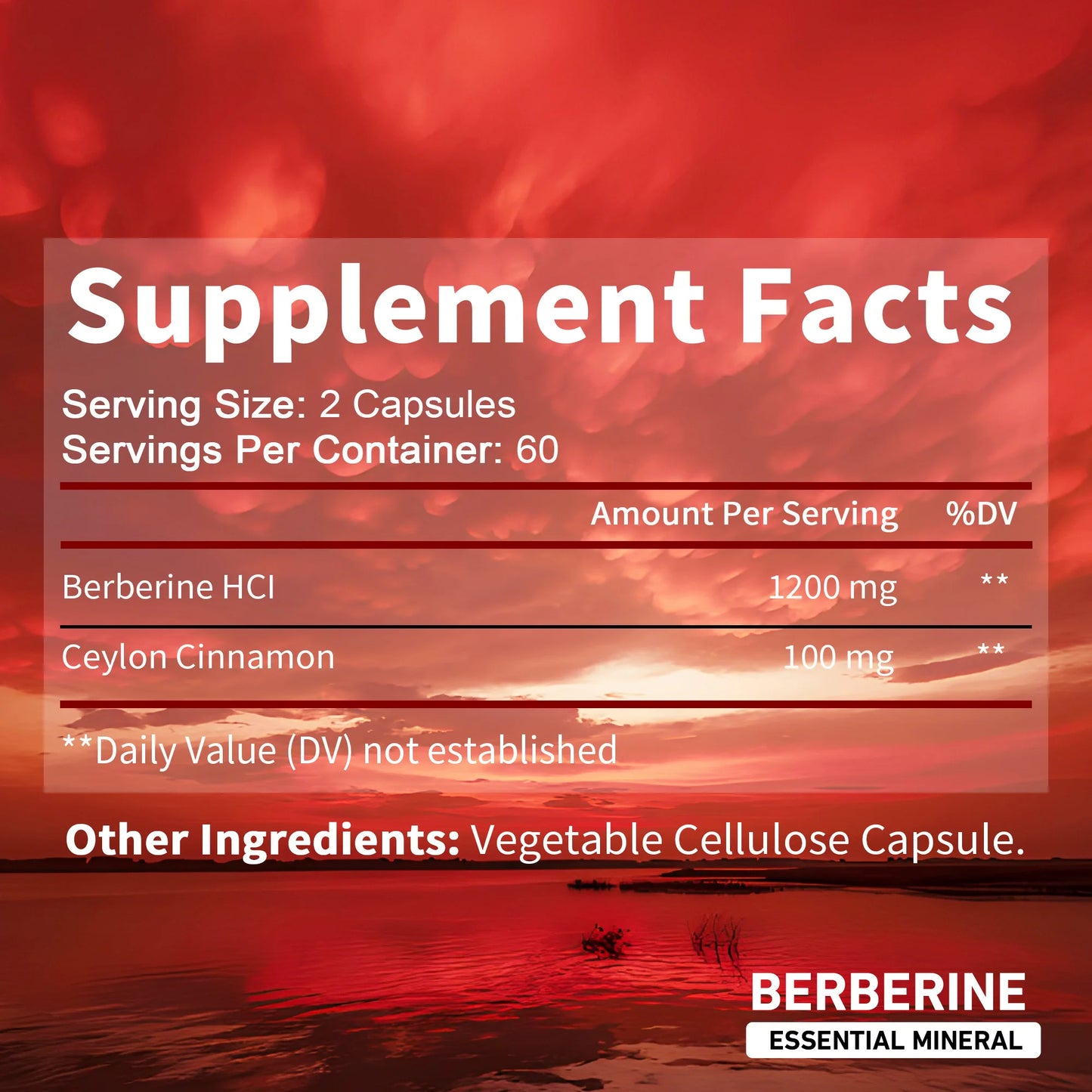 Patapata Berberine + Ceylon Cinnamon – Metabolism Support & Antioxidant Formula | 120 Vegan Capsules for Gut & Glucose Health