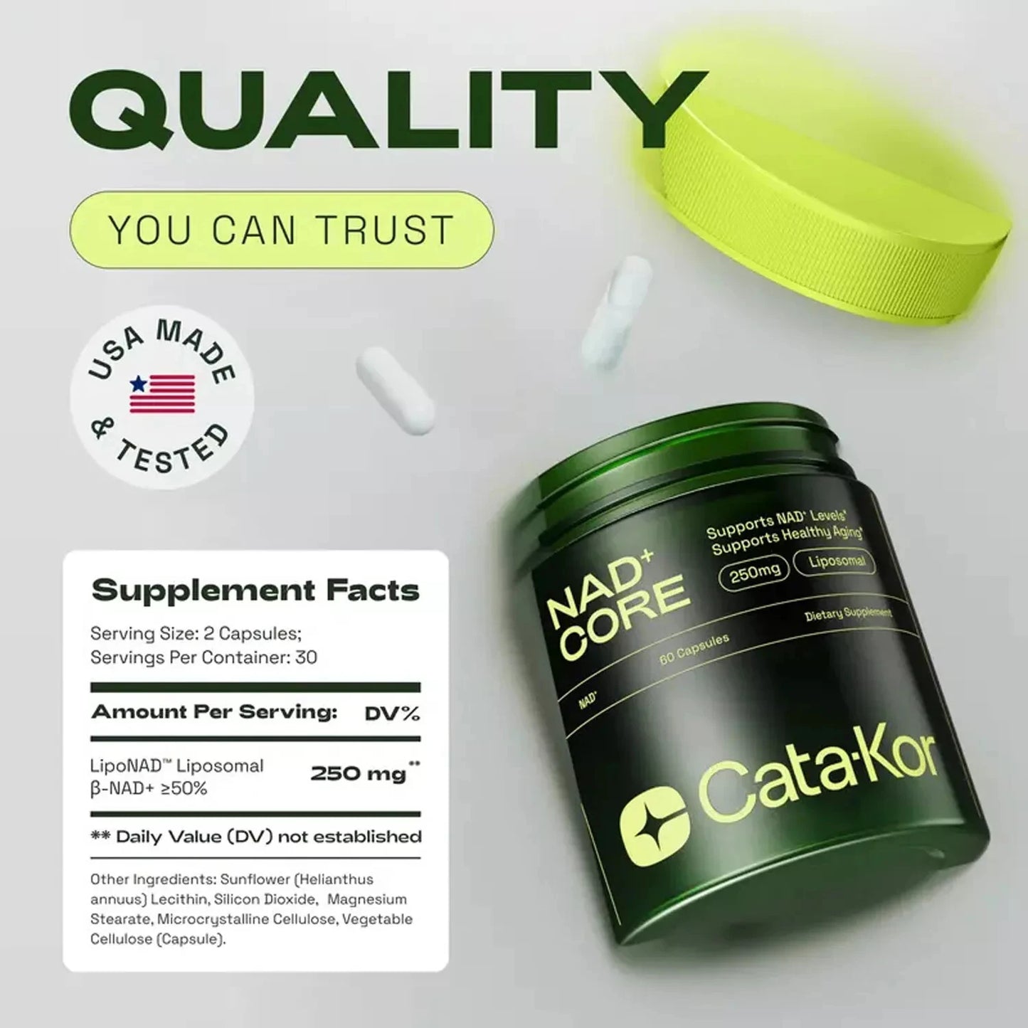 Patapata NAD+ & Resveratrol Capsules – Cellular Energy, Anti-Aging & Skin Support | 120 Capsules