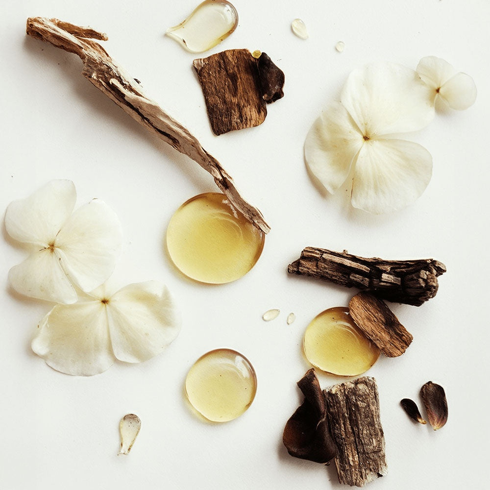 Patapata# ! Whipped Grass-Fed Tallow Balm with Vanilla Bean