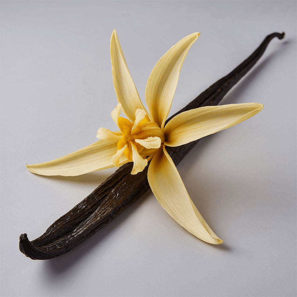 Patapata# ! Whipped Grass-Fed Tallow Balm with Vanilla Bean