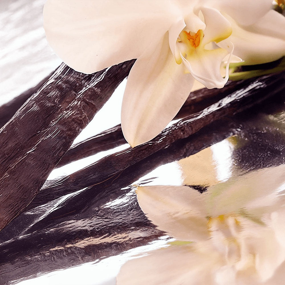 Patapata# ! Whipped Grass-Fed Tallow Balm with Vanilla Bean