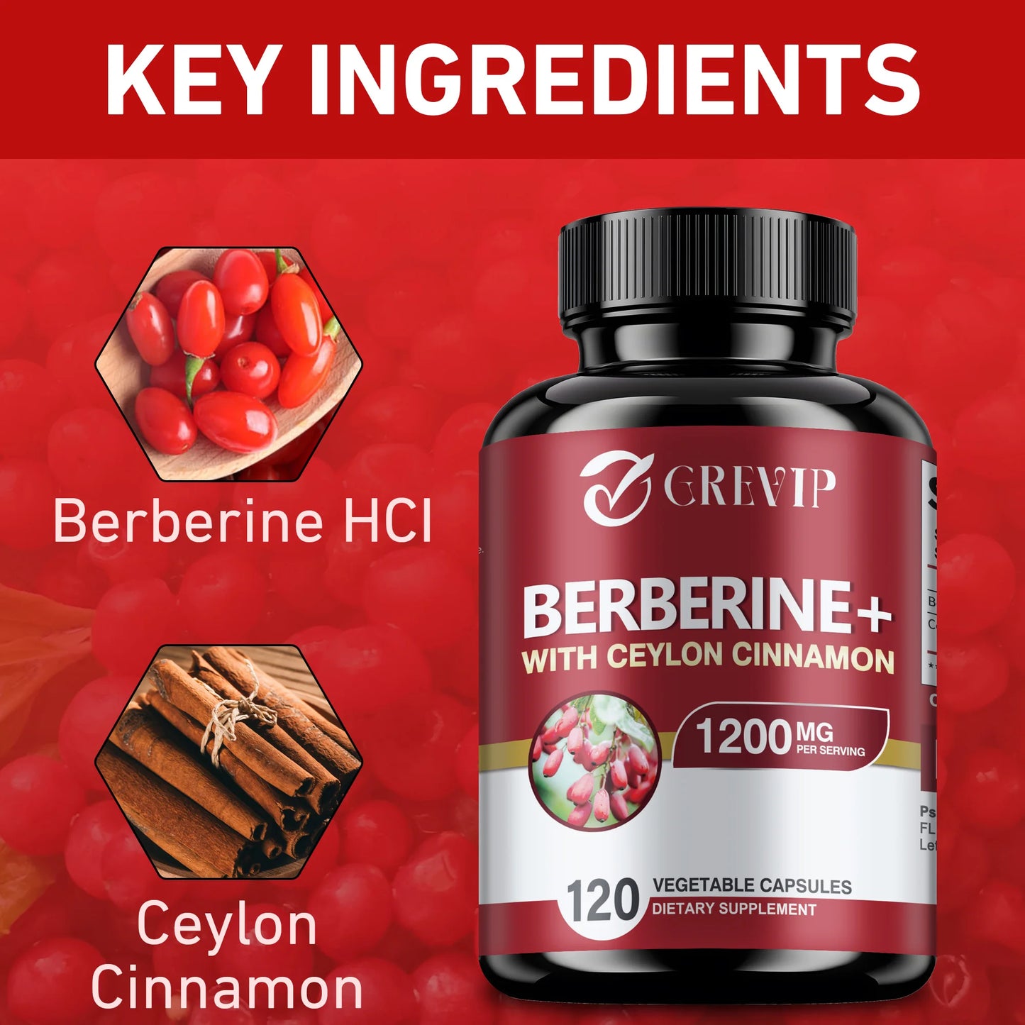 Patapata Berberine + Ceylon Cinnamon – Metabolism Support & Antioxidant Formula | 120 Vegan Capsules for Gut & Glucose Health