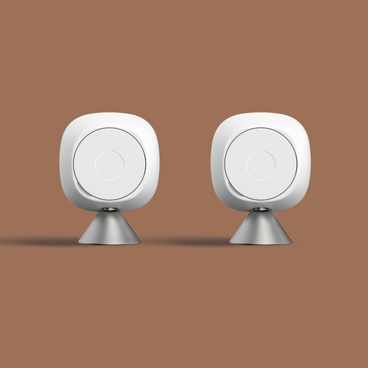 Patapata# ecobee SmartSensor – Room Temperature & Occupancy Sensor