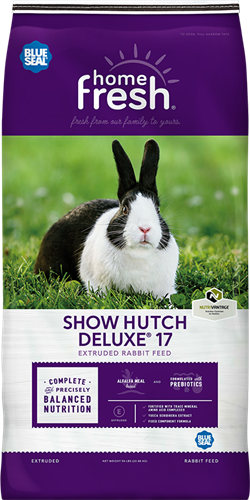 Patapata# Kent Blue Seal Rabbit Food